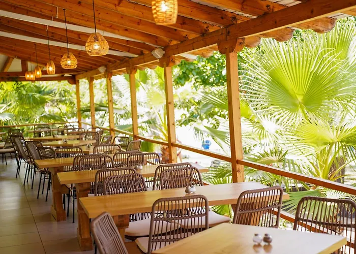 Sissy קמנה וורלה